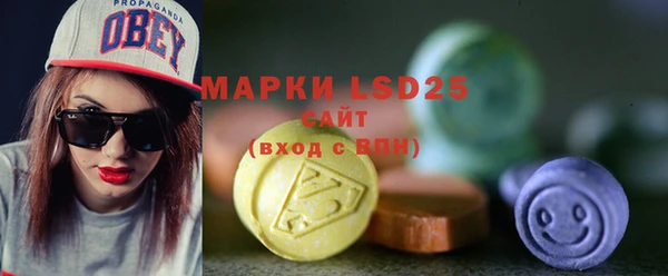 прущие грибы Новокубанск