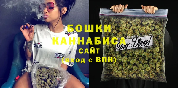 прущие грибы Новокубанск
