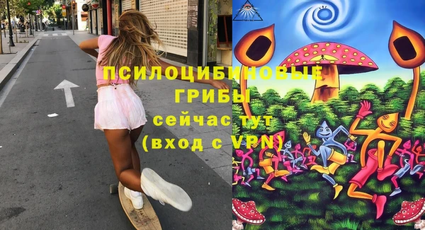 трава Новодвинск