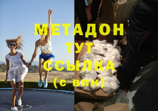 прущие грибы Новокубанск