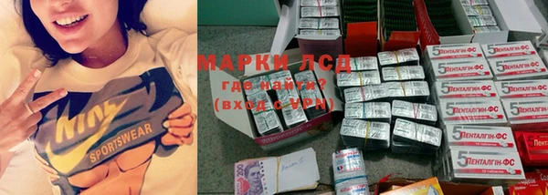 прущие грибы Новокубанск