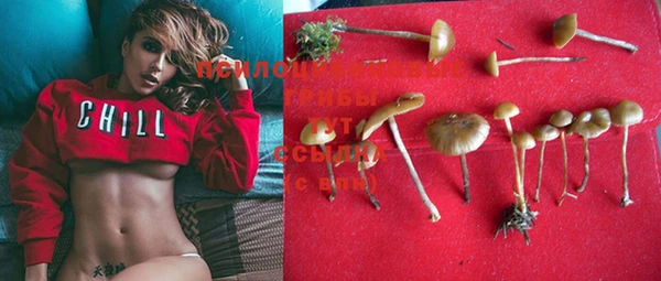 spice Новозыбков