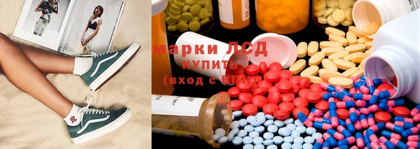 трава Новодвинск